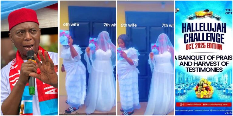 InCollage_20251102_080503743