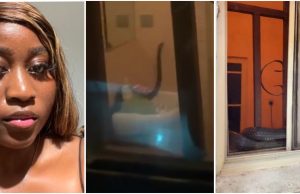 “See as e big” – Lady cries out at midnight on Twitter after spotting snake in her toilet, video worries many