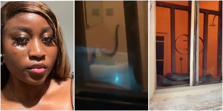 InCollage_20251102_095050500