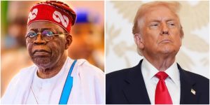 InCollage_20251102_135702882