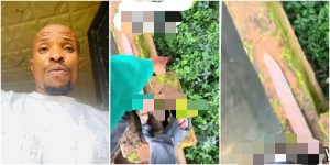 InCollage_20251119_105026406