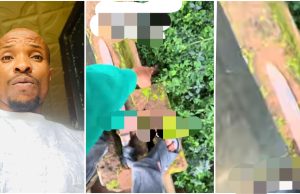 “To my greatest surprise” – Man cries out as he shows what was hidden behind his fence (Video)