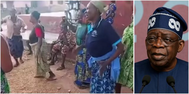 InCollage_20251123_205957659