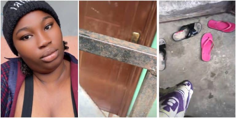 InCollage_20251212_120738079