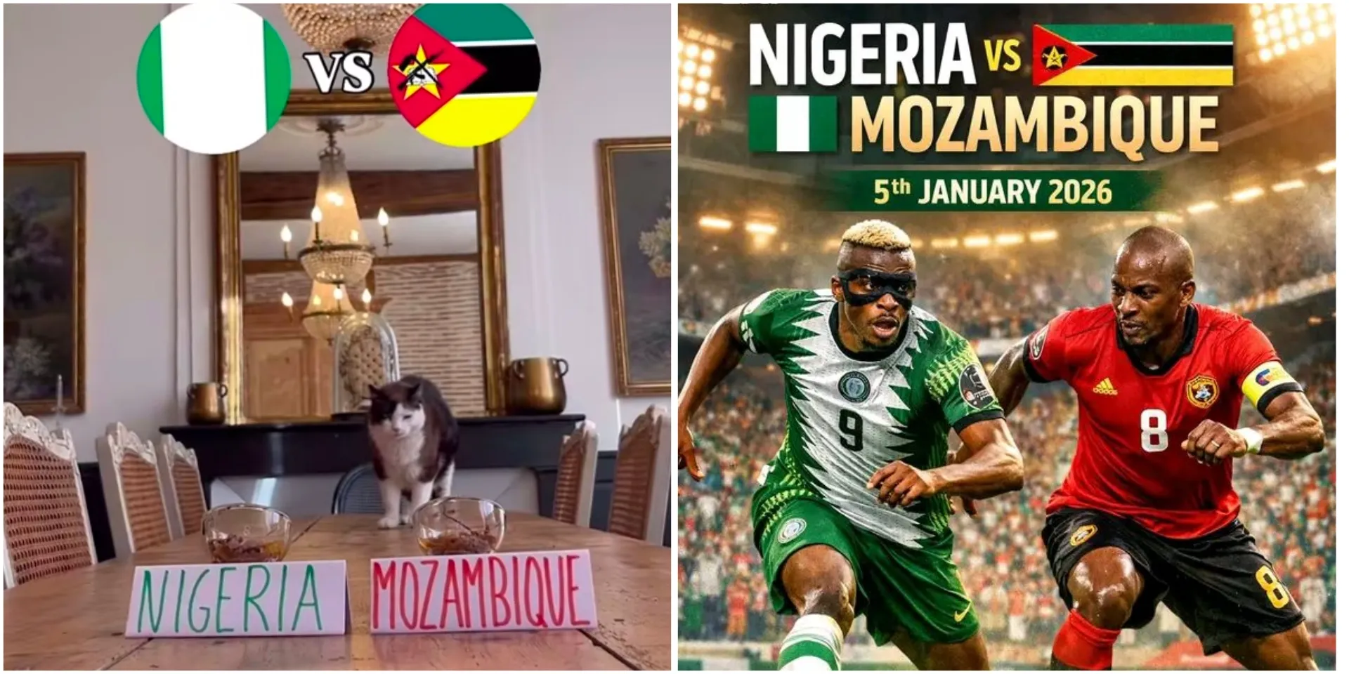 #AFCON: Cat with correct predictions on all Round of 16 games so far reveals outcome of Nigeria vs Mozambique match
