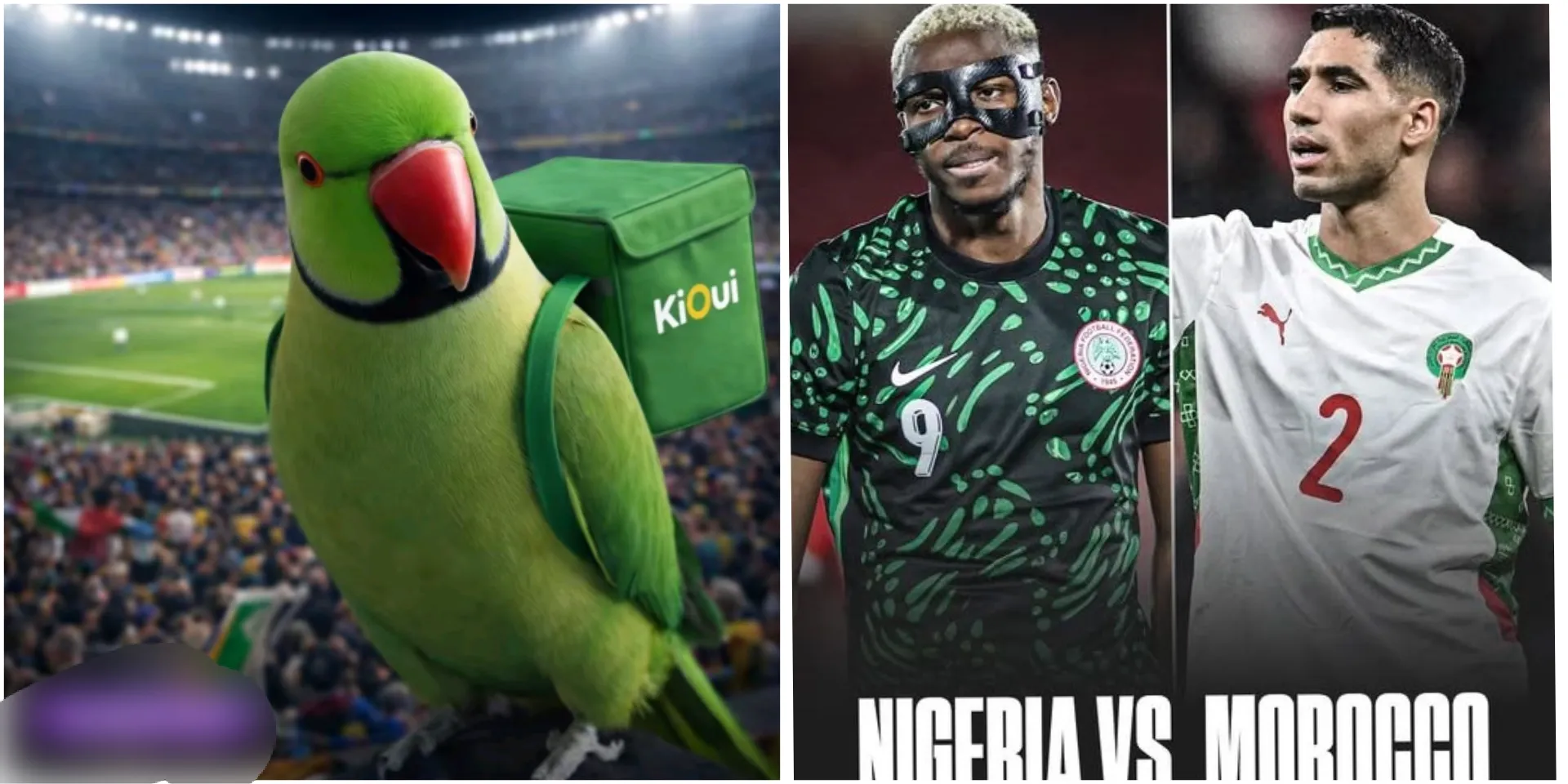 #AFCON: “I too trust this animal”: Mystery bird with over 9 correct predictions reveals how Morocco vs Nigeria match will end (Video)