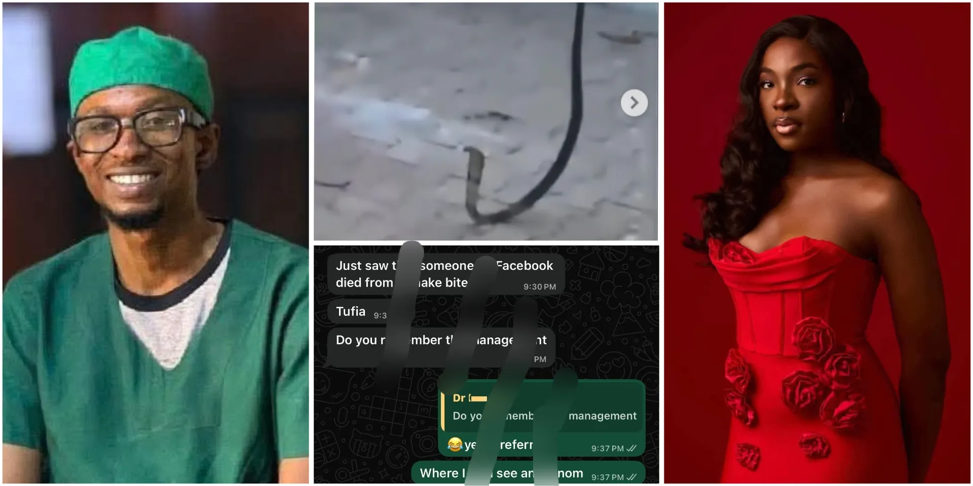 “A colleague sent me this” – Nigerian Doctor shares one reason singer, Ifunanya couldn’t survive snake bite despite rushing to hospital, releases chat