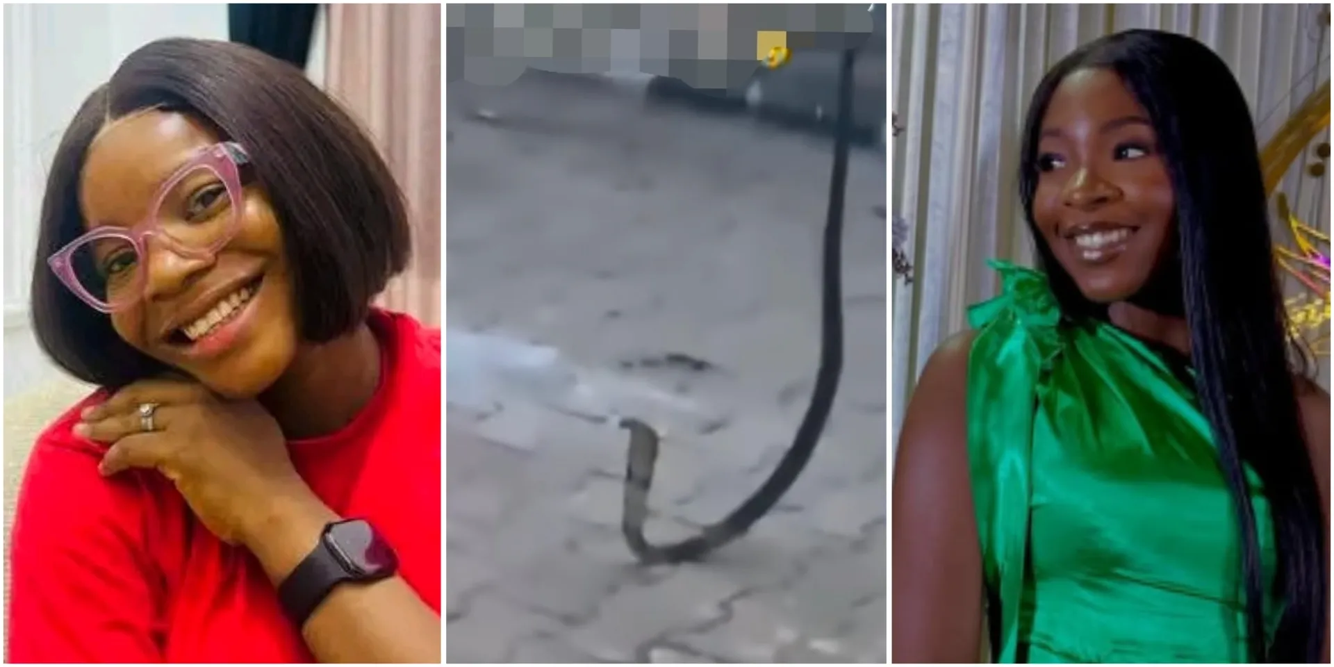 “It’s unfortunate”: Neighbour of late singer Nanyah breaks silence, shares how many snakes that reportedly attacked her