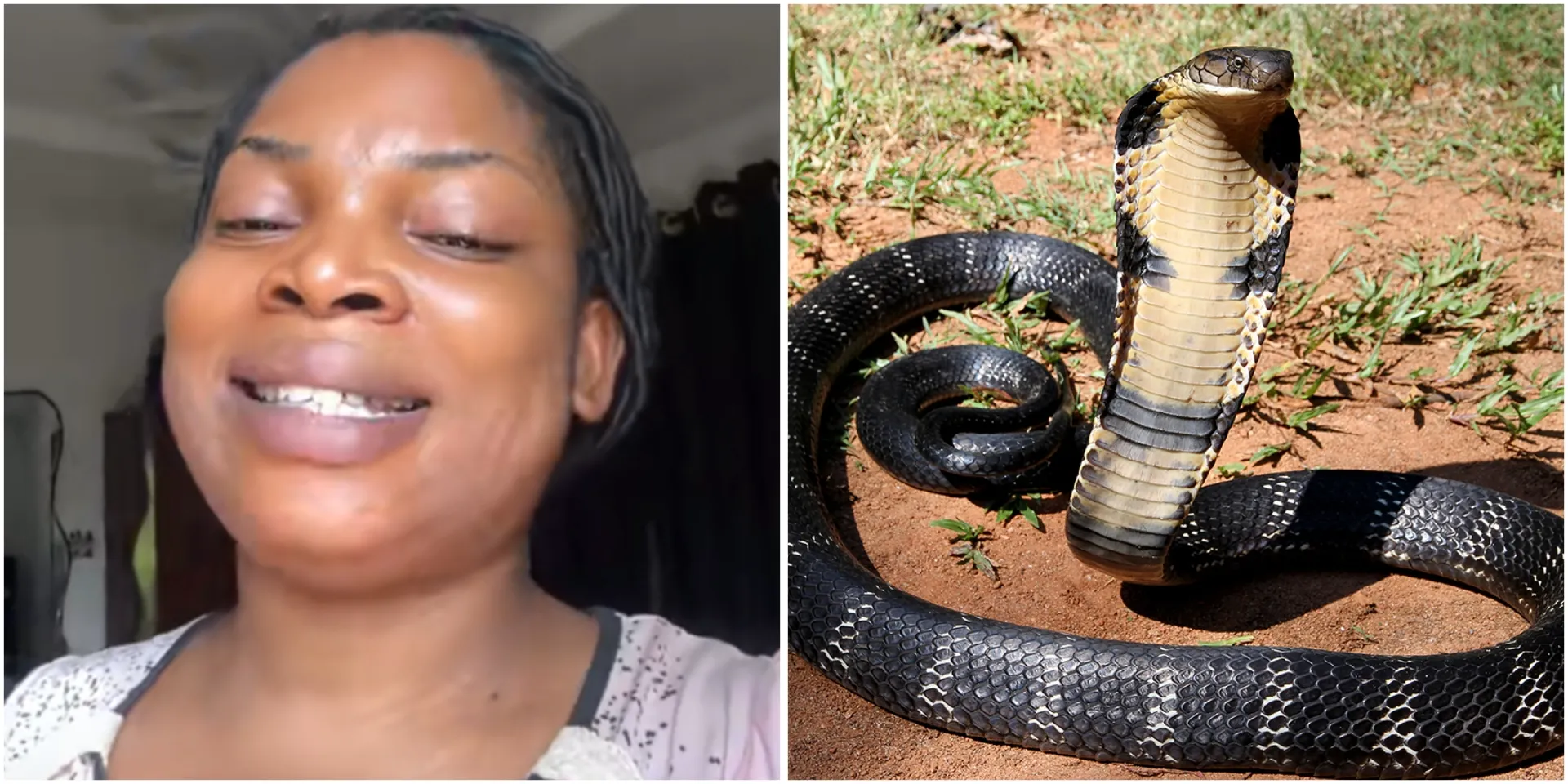 “It will chase all snakes”: Lady reveals 1 important item to keep inside house (Video)