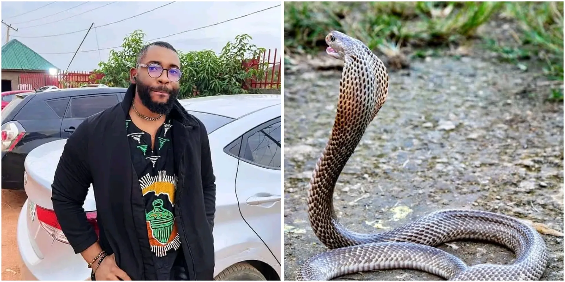 “This thing has been saving life for years but many people don’t know” – Man reveals rare item that can be used to extract venom after snake bite