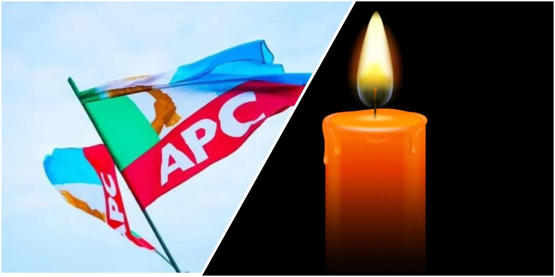 InCollage_20260309_150634077