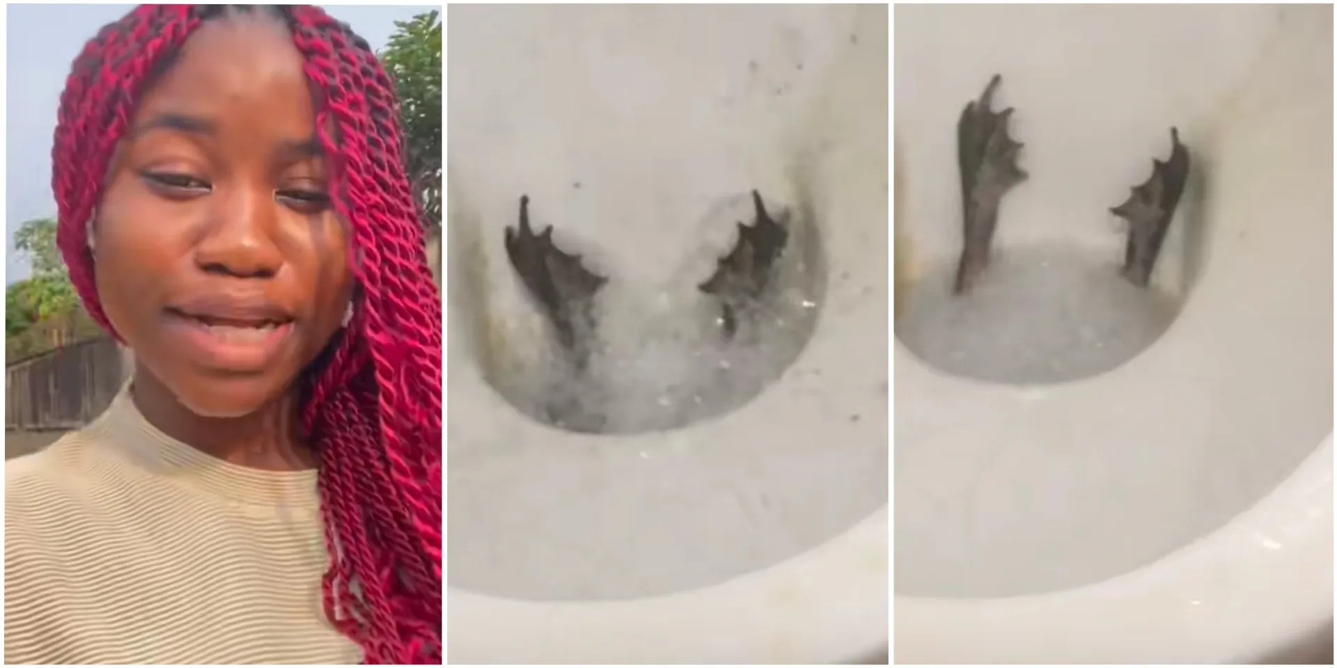 InCollage_20260311_174114991