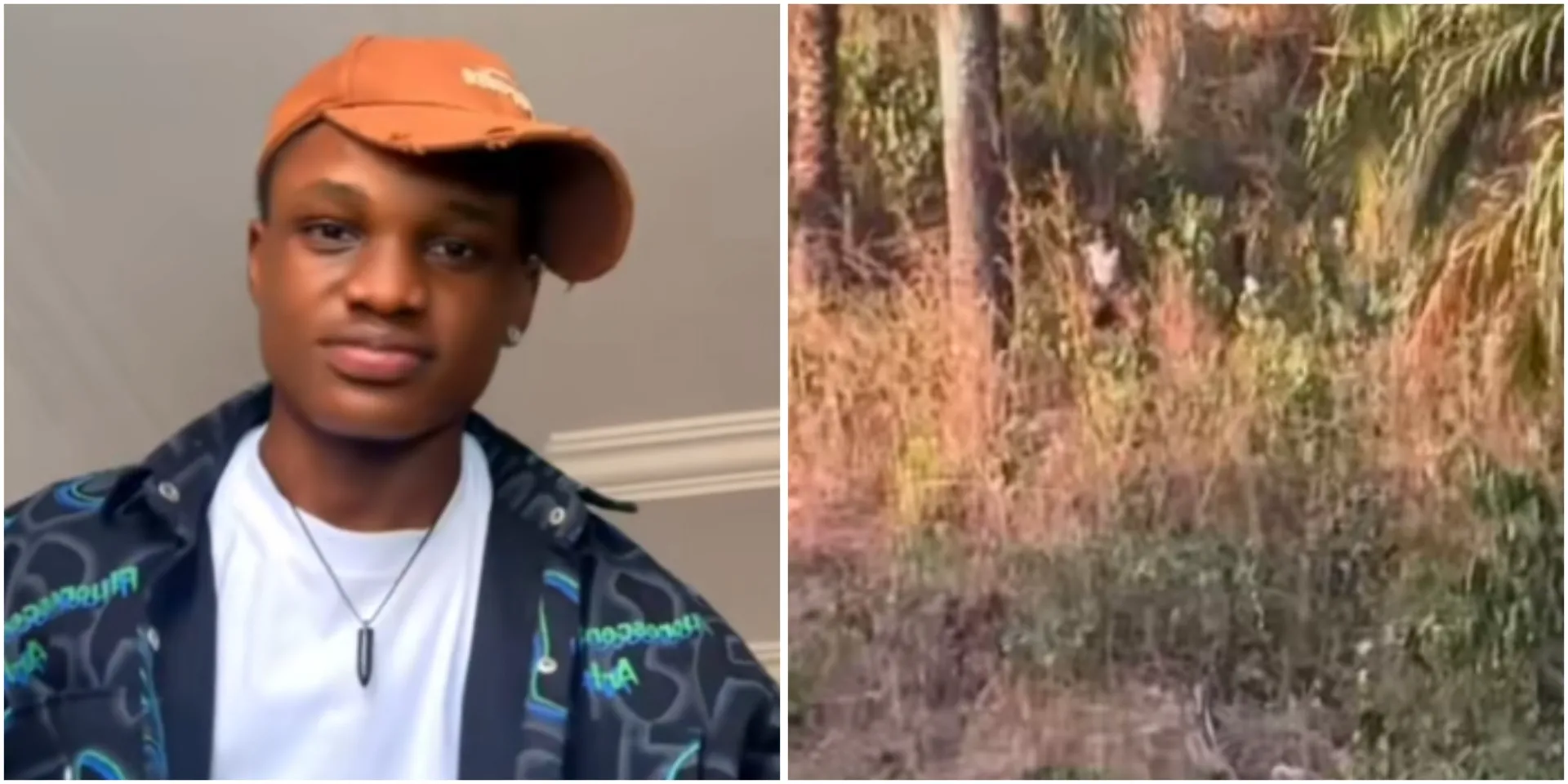 InCollage_20260319_103726563