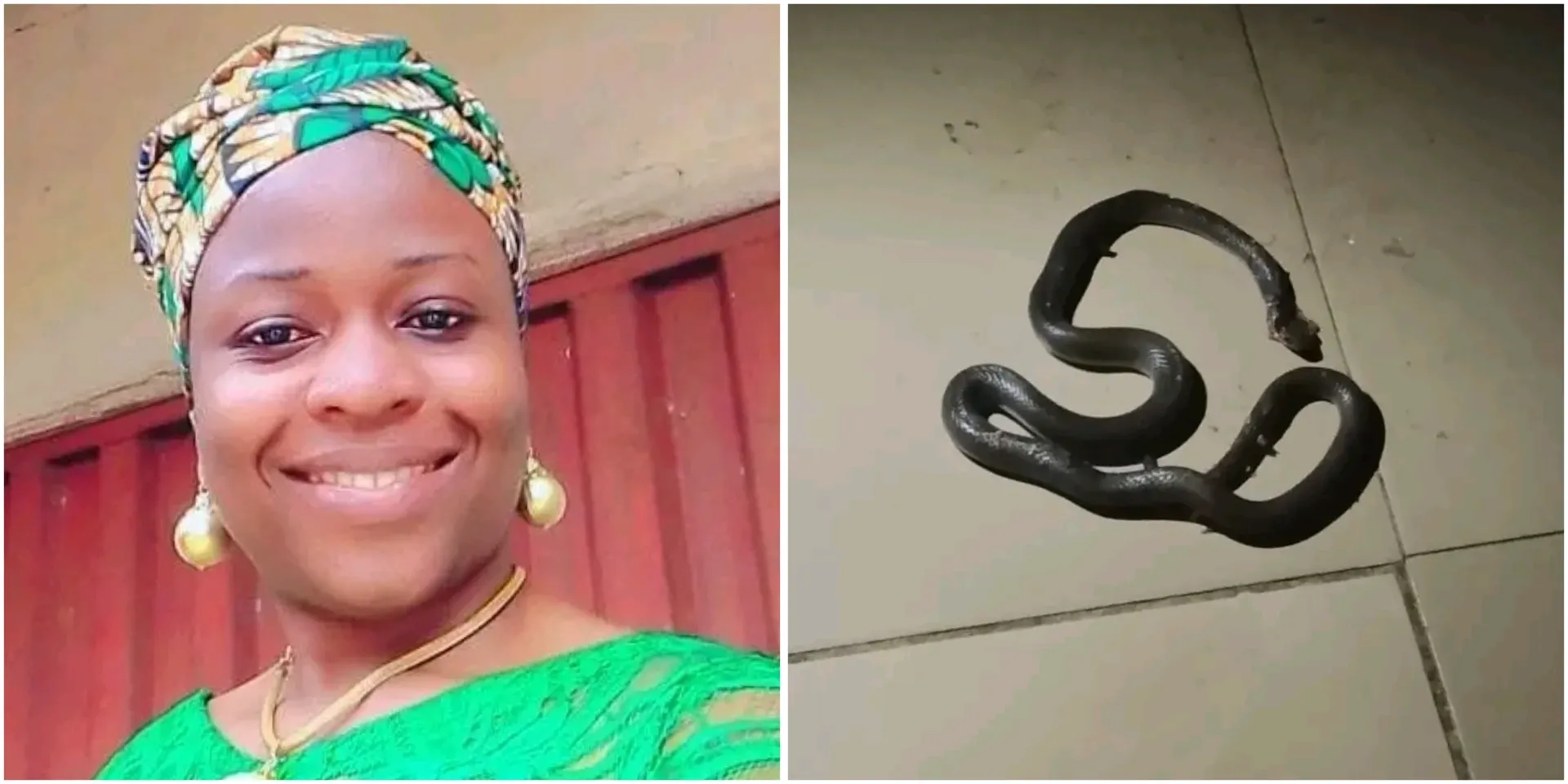 InCollage_20260324_161833802