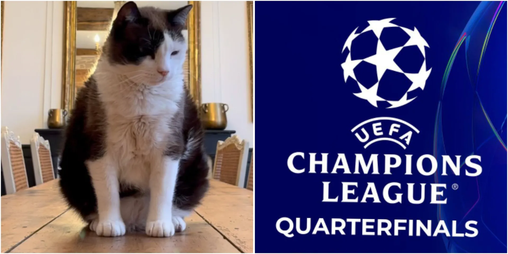 InCollage_20260414_095609665