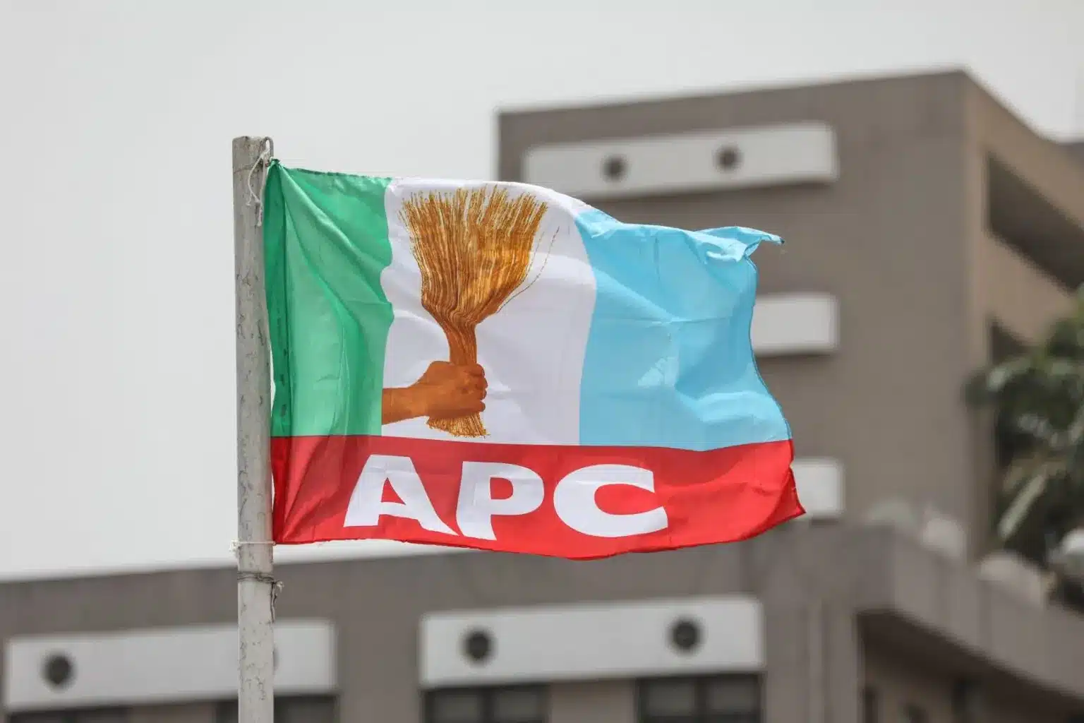 APC-flag-2