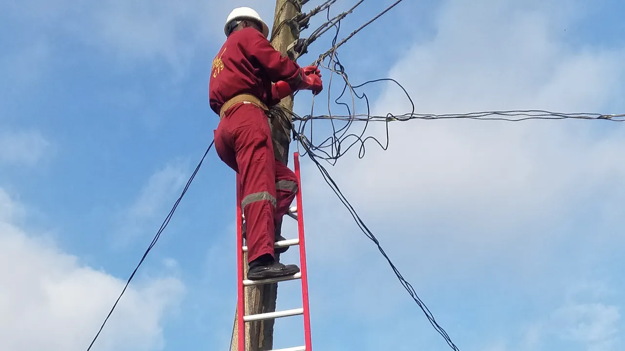 PHCN-1